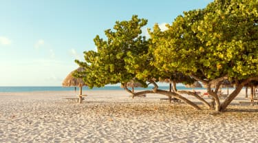 Aruba